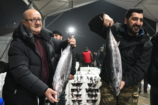 Marmara Denizi'nde 40 yıl sonra torik bereketi