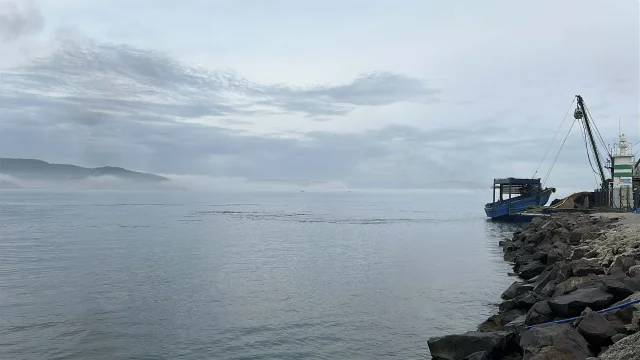 Yoğun sis Çanakkale Boğazı'nı ulaşıma kapattı