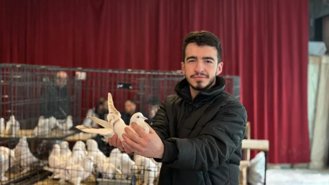 Uluslararası Şebap Güvercin Festivali Ankara'da Meraklılarını Buluşturdu