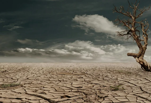2050'de Aşırı Sıcaklara Maruz Kalan Nüfus İki Katına Çıkabilir