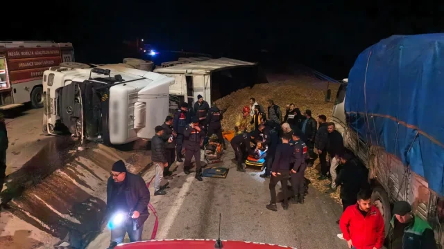 Bursa'da talaş yüklü tır devrildi: Sürücü hayatını kaybetti