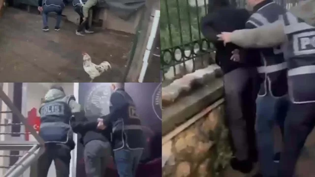 Firari yükümlüyü tavukların arasında öksürüğü yakalattı! 