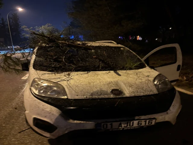 Adana'da devrilen ağaç seyir halindeki araca saplandı