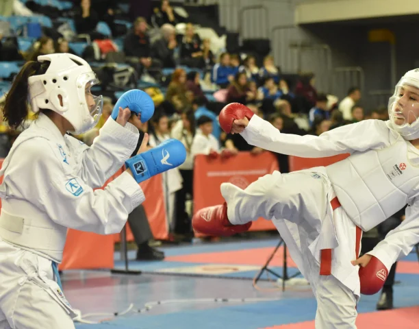 Sakarya'da Türkiye Yıldızlar Karate Ligi heyecanı sona erdi