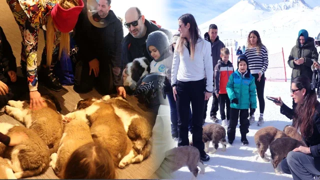 'Pastırma' ve 'Sucuk' Erciyes'in simgesi oldu! Turistler onları görmek için akın etti 