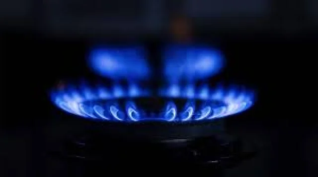 Soğuk kış Almanya'yı vurdu: Doğal gaz stokları hızla azalıyor
