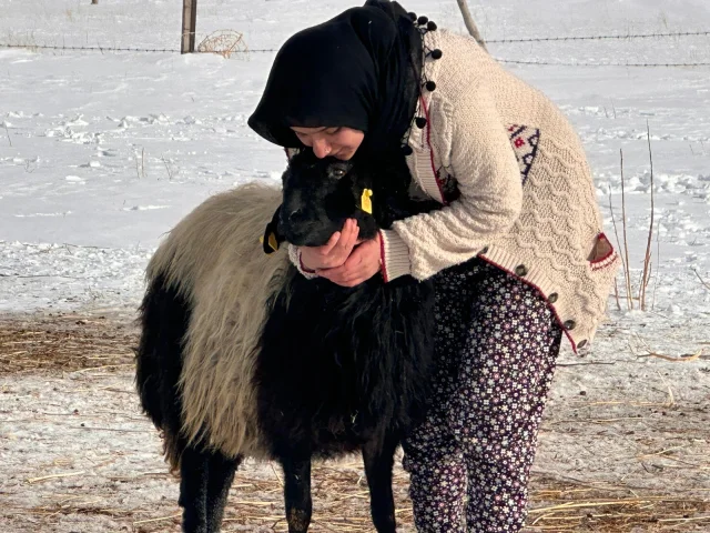 koyunla arkadaş olan kadın