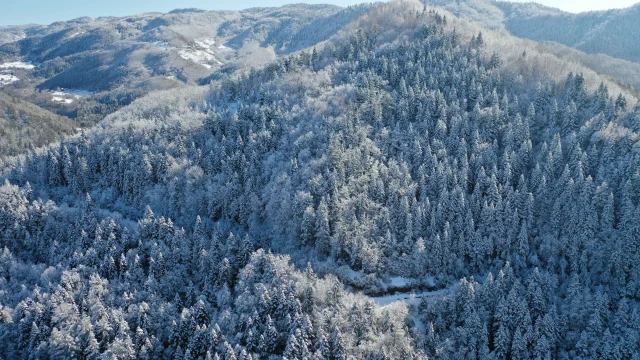 Beyaz örtüye büründü! Kartpostal görüntülere sahne oldu 