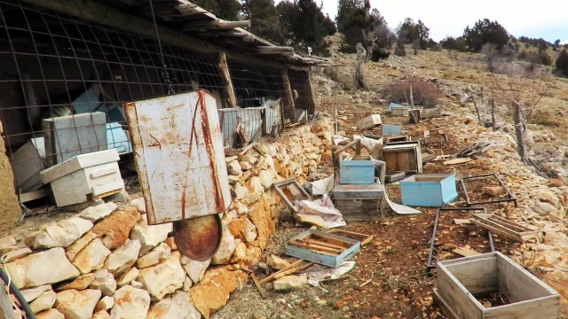 Her yeri yakıp yıktı! Arıcılar canından bezdi: Emekleri heba oldu