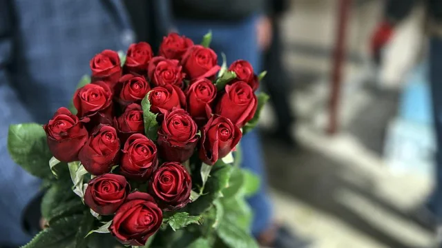 Piyasada 'güller' açtı! Sevgililer Günü hareketliliği Avrupa'ya uzandı: En çok hangisi tercih ediliyor? 