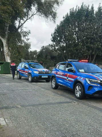 Bodrum'da 2 köpeğin öldürülmesi: Şüpheli tutuklandı