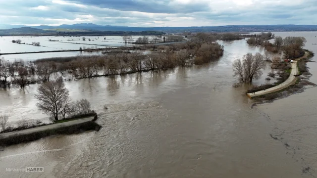 Edirne'de Tunca ve Meriç nehirleri tarım arazilerini sular altında bıraktı