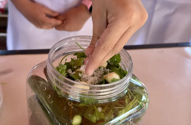 Kırşehirli Öğrenciler Gastronomi Serasında Turşu Yapmayı Deniyor