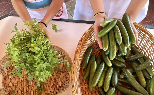 Kırşehirli Öğrenciler Gastronomi Serasında Turşu Yapmayı Deniyor