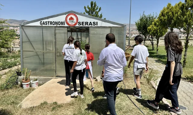 Kırşehirli Öğrenciler Gastronomi Serasında Turşu Yapmayı Deniyor