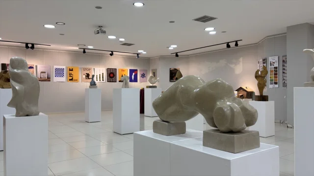 OMÜ'de Sanatın Büyüsü Öğrencilerin Mezuniyet Sergisinde Buluştu