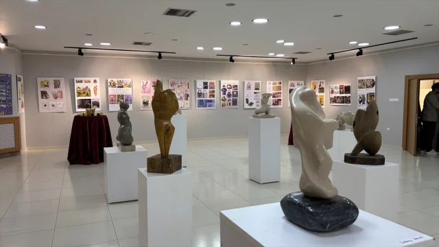 OMÜ'de Sanatın Büyüsü Öğrencilerin Mezuniyet Sergisinde Buluştu