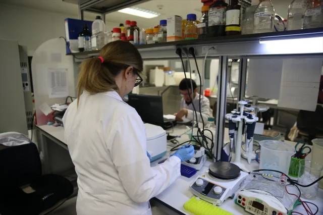 Kırım Kongo Kanamalı Ateşi Aşısında Yeni Aşama: Klinik Çalış...