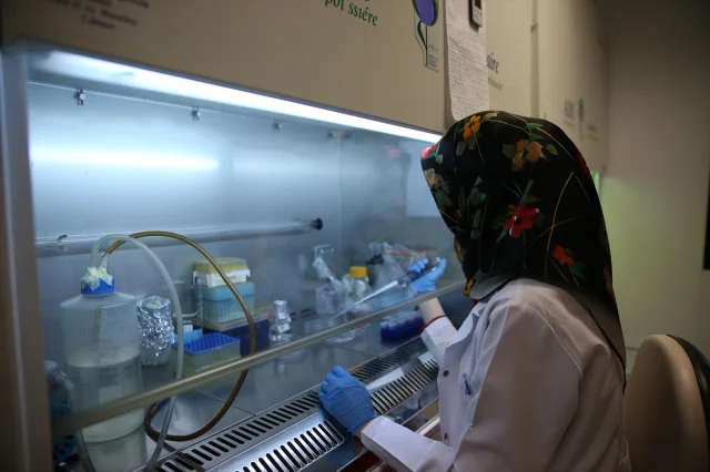 Kırım Kongo Kanamalı Ateşi Aşısında Yeni Aşama: Klinik Çalışmalar Başlıyor