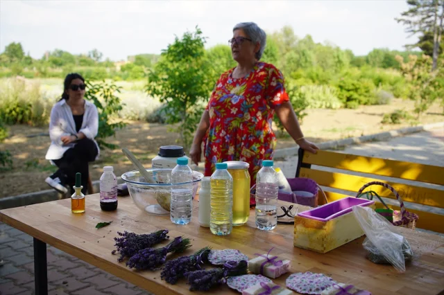 Edirne'de Lavanta Tarlasında Etkinlik Rüzgarı