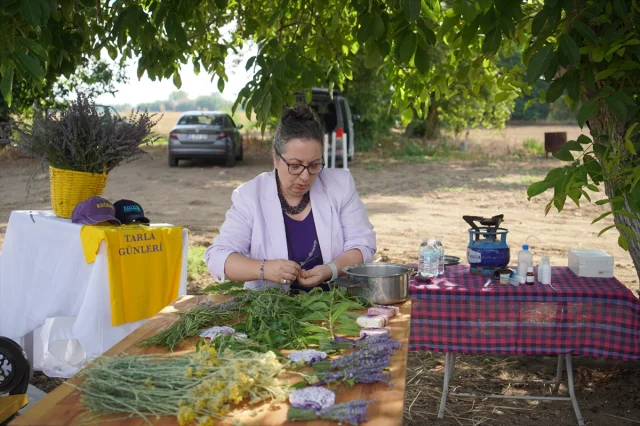 Edirne'de Lavanta Tarlasında Etkinlik Rüzgarı