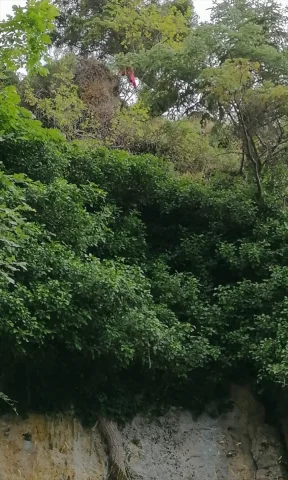 Burdur'da Trajik Kaza: Kayalıklardan Düşen Fatma Acar Hayatı...