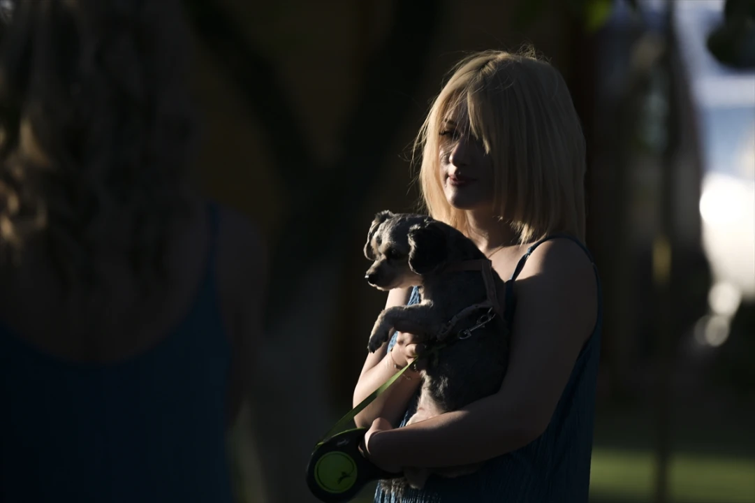 Ankara'da Engelli Hayvanlar Moda Defilesinde Hayran Bıraktı