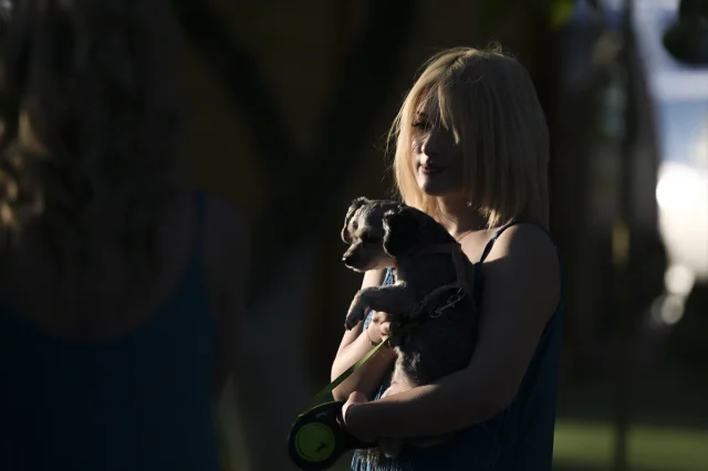 Ankara'da Engelli Hayvanlar Moda Defilesinde Hayran Bıraktı