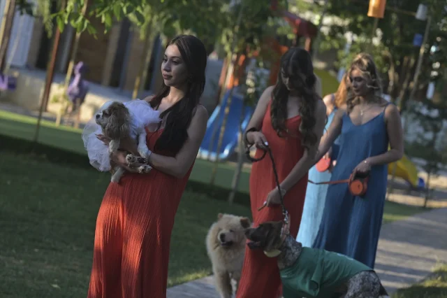 Ankara'da Engelli Hayvanlar Moda Defilesinde Hayran Bıraktı