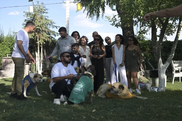 Ankara'da Engelli Hayvanlar Moda Defilesinde Hayran Bıraktı