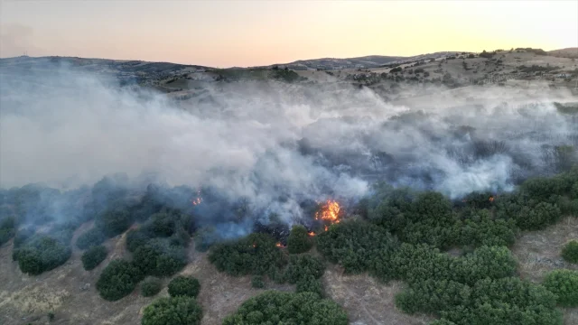Manisa'da Çıkan Yangın Tehlike Yarattı Fakat Başarıyla Söndü...