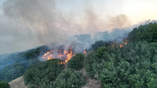 Manisa'da Çıkan Yangın Tehlike Yarattı Fakat Başarıyla Söndürüldü