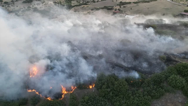 Manisa'da Çıkan Yangın Tehlike Yarattı Fakat Başarıyla Söndürüldü