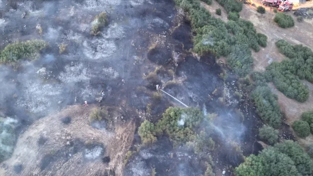 Manisa'da Çıkan Yangın Tehlike Yarattı Fakat Başarıyla Söndürüldü