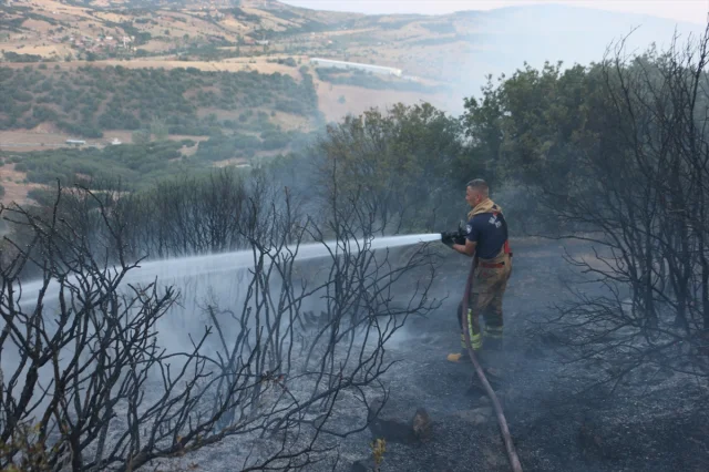 Manisa'da Çıkan Yangın Tehlike Yarattı Fakat Başarıyla Söndürüldü