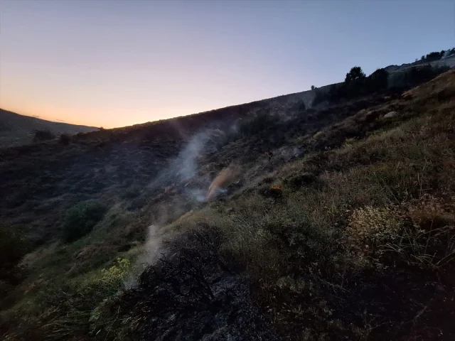 Bingöl'ün Genç İlçesinde Orman Yangını Başarıyla Kontrol Alt...