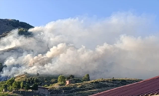Bingöl'ün Genç İlçesinde Orman Yangını Başarıyla Kontrol Altına Alındı