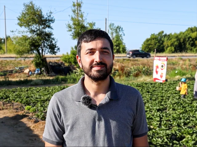 Mühendislikten Tarıma: Organik Çileklerle Anlamlı Dönüşüm