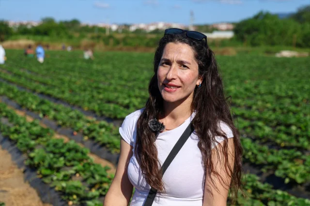Mühendislikten Tarıma: Organik Çileklerle Anlamlı Dönüşüm