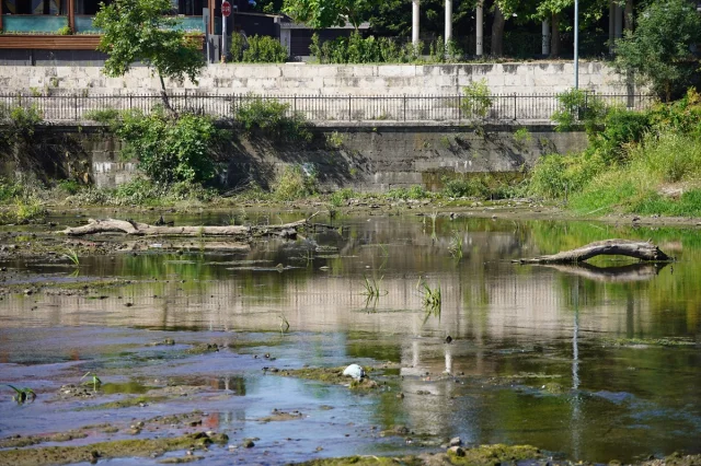 Tunca Nehri'nin Kuraklık Nedeniyle Su Seviyesindeki Düşüş Endişelendiriyor