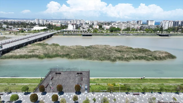 Antalya Boğaçayı'nda Kuş Türleri Çeşitliliği Büyülüyor