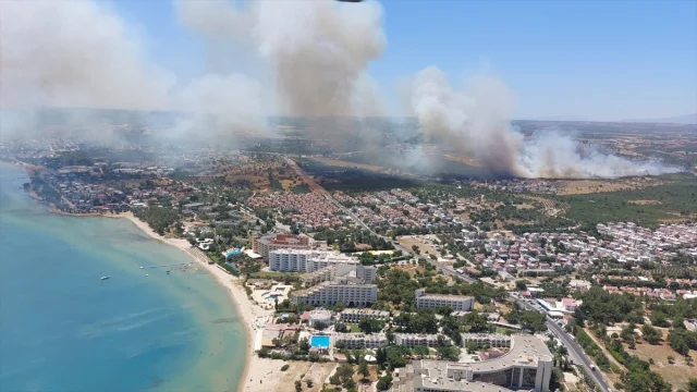 Aydın'da Korkutan Yangın: Ekipler Seferber Oldu