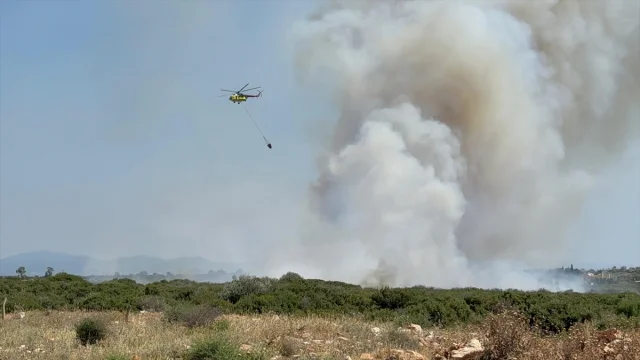 Aydın'da Yangın Alarmı: 82 Hektar Alan Küle Döndü