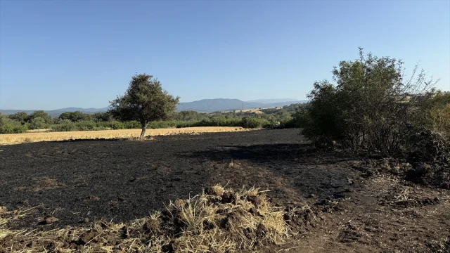 Çanakkale'de Tarım Arazisinde Çıkan Yangın Hızla Kontrol Altına Alındı