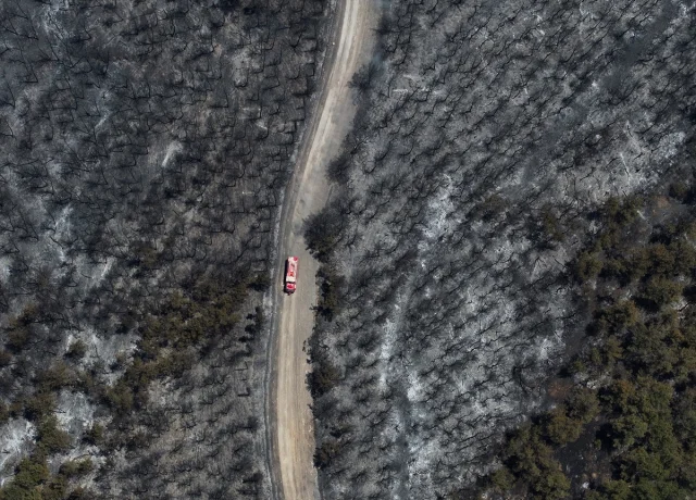 İzmir'de Orman Yangını Sonrası Yıkımın Yüzlerce Hektarlık Gö...