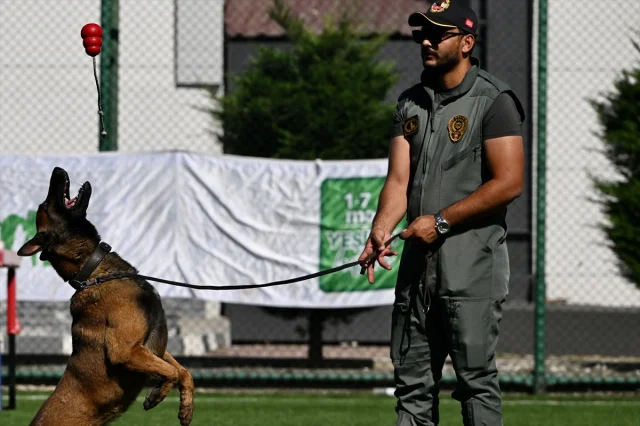 Düzce ve Karabük'te Spor Etkinlikleri Bağımlılıklarla Mücadeleye Destek Verdi