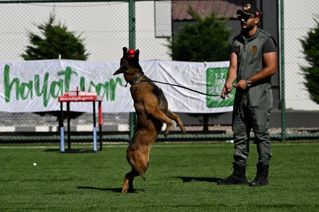 Düzce ve Karabük'te Spor Etkinlikleri Bağımlılıklarla Mücadeleye Destek Verdi