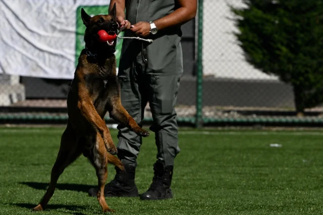 Düzce ve Karabük'te Spor Etkinlikleri Bağımlılıklarla Mücadeleye Destek Verdi