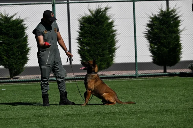 Düzce ve Karabük'te Spor Etkinlikleri Bağımlılıklarla Mücadeleye Destek Verdi