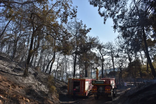 İzmir'de Orman Yangını Kontrol Altında: Kemalpaşa'nın Damlacık Bölgesindeki Mücadele